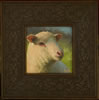 Ron Deak - Ewenice 5x5 SOLD